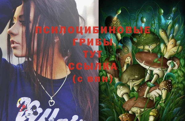 стафф Алексеевка