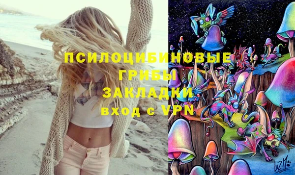 стафф Алексеевка
