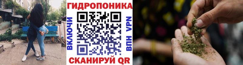 купить наркотик  Аткарск  Канабис Bruce Banner 